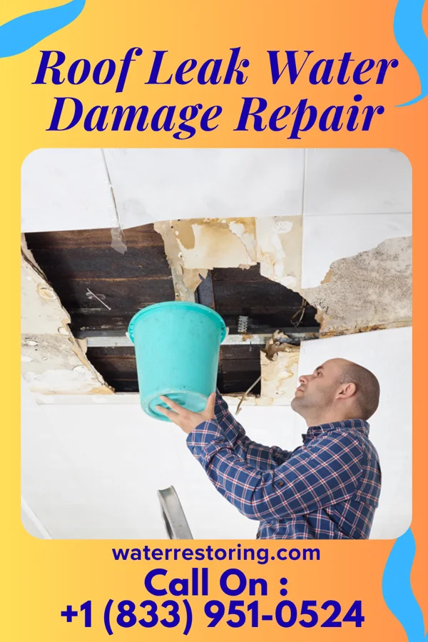 Roof Leak Water Damage Repair in Bernie, MO