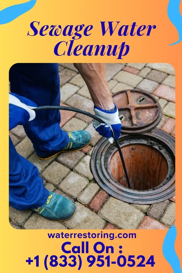 Sewage Water Cleanup in Bernie, MO